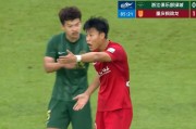 重庆球迷组织联合声明：抗议李镇全被罚，要求对刘浩帆同等处罚